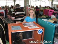 Готовы к приходу посетителей