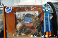 Mamba and Ocean in a show-cage