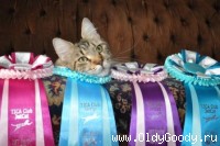 Resting on the laurels