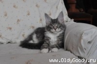 13 weeks