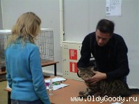 судейство - это приятно!