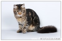 6 месяцев