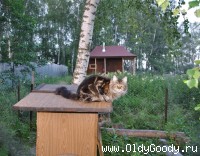 На сторожевом посту